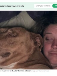 【海外発！Breaking News】目覚めるとベッドで寄り添って眠る見知らぬ犬に「なぜ？」混乱する夫婦（米）＜動画あり＞