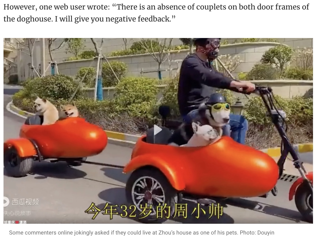 敷地内はまるで遊園地（画像は『South China Morning Post　2022年5月21日付「Man in China spends small fortune on mini dog mansion with a disco, pool and roller coaster for his pets」（Photo: Douyin）』のスクリーンショット）