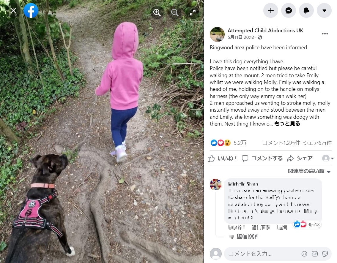 モリーと散歩中のエミリーちゃん（画像は『Attempted Child Abductions UK　2022年5月11日付Facebook「Ringwood area police have been informed」』のスクリーンショット）