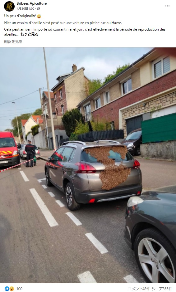 車両後部をびっしり覆うミツバチ（画像は『Bribees Apiculture　2022年4月30日付Facebook「Un peu d’originalité」』のスクリーンショット）
