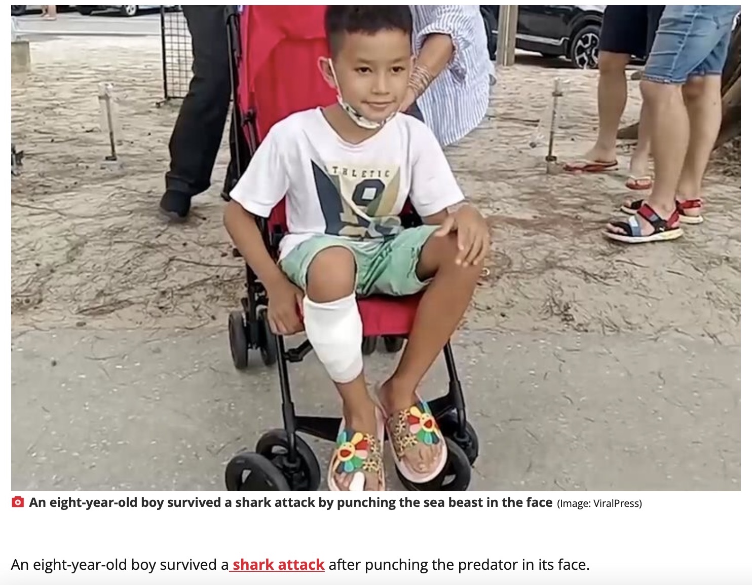 サメに襲われて立ち向かった男児（画像は『The Daily Star　2022年5月4日付「Boy, 8, punches shark in the face to survive horror beach attack」（Image: ViralPress）』のスクリーンショット）