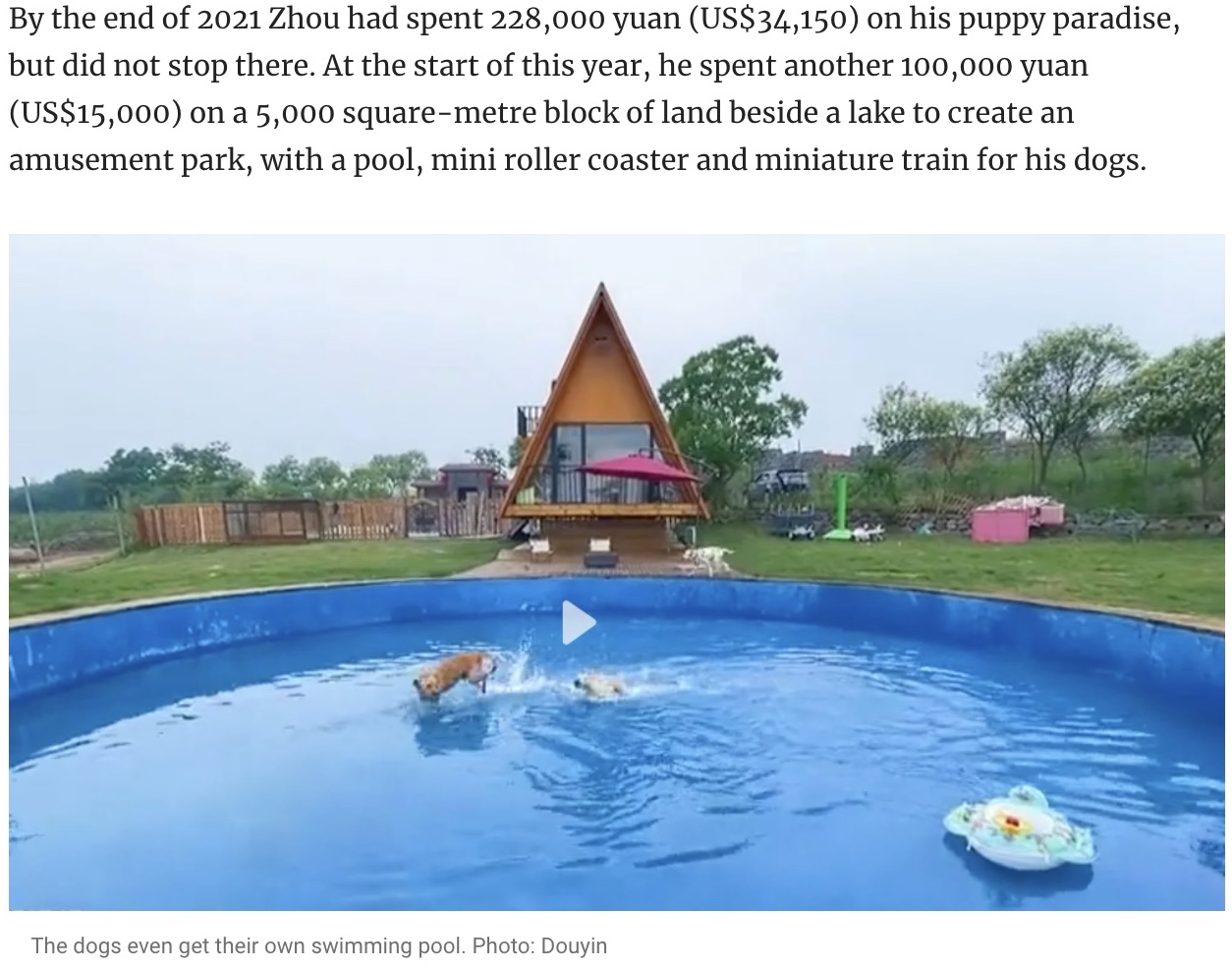 専用のプールで遊ぶ犬（画像は『South China Morning Post　2022年5月21日付「Man in China spends small fortune on mini dog mansion with a disco, pool and roller coaster for his pets」（Photo: Douyin）』のスクリーンショット）