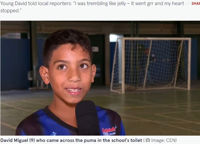 ピューマに遭遇したデイヴィッド君（画像は『The Mirror　2022年5月24日付「Nine-year-old boy given huge shock after bumping into PUMA in school toilet」（Image: CEN）』のスクリーンショット）