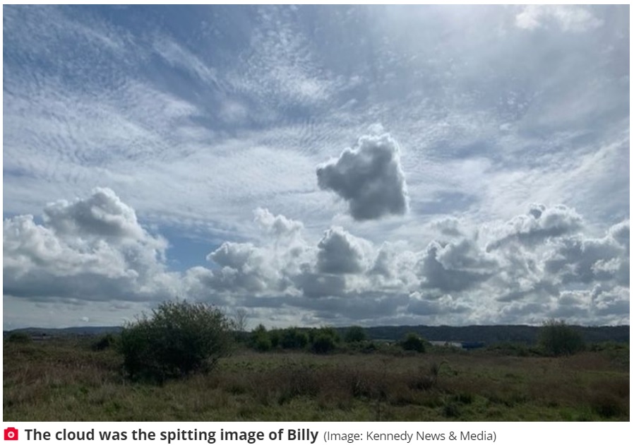 散歩中にふと空を見上げるとビリーに似た雲が！（画像は『The Daily Star　2022年5月3日付「Dead dog sends message to owners - by appearing in a cloud」（Image: Kennedy News ＆ Media）』のスクリーンショット）