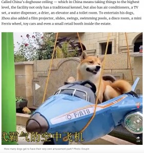 飛行機のようなブランコで遊ぶ犬（画像は『South China Morning Post　2022年5月21日付「Man in China spends small fortune on mini dog mansion with a disco, pool and roller coaster for his pets」（Photo: Douyin）』のスクリーンショット）