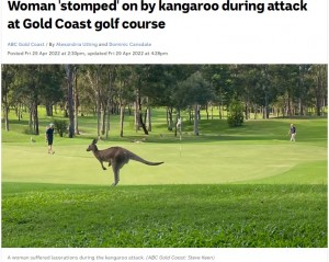【海外発！Breaking News】ゴルフ場でカンガルーが女性を襲撃　何度も踏みつけ、全身に裂傷を負わせる（豪）