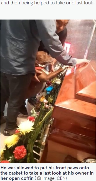 棺に前足をかけるゼウス（画像は『The Mirror　2022年5月15日付「Heartbreaking moment mourning dog pays final respects to owner at funeral」（Image: CEN）』のスクリーンショット）