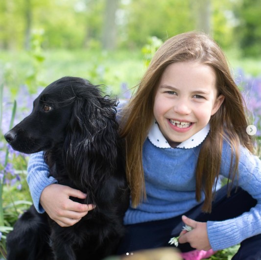 愛犬を抱きしめて微笑むシャーロット王女（画像は『Duke and Duchess of Cambridge　2022年5月1日付Instagram「Seven tomorrow!」』のスクリーンショット）