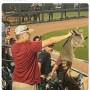 【海外発！Breaking News】“アライグマ男”　野球場に現れた野生の珍客を素手で捕まえる（米）＜動画あり＞