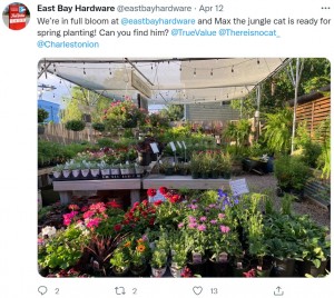 花売り場で隠れているマックス（画像は『East Bay Hardware　2022年4月12日付Twitter「We’re in full bloom at ＠eastbayhardware and Max the jungle cat is ready for spring planting!」』のスクリーンショット）