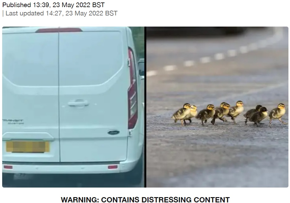 道路を横断するカモの親子をドライバーは無視して走行（画像は『LADbible　2022年5月23日付「Man Hands Himself In To Police After White Van ‘Runs Over Ducklings’」』のスクリーンショット）