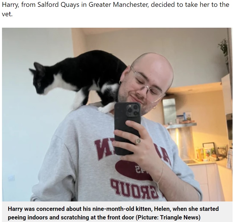ヘレンの異様な行動はハリーさん自身が原因だった（画像は『Metro　2022年5月27日付「Owner spent ￡80 at vet to find out cat just hated him working from home」（Picture: Triangle News）』のスクリーンショット）