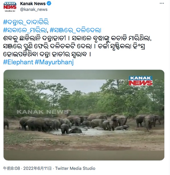 密猟が横行したことで、ゾウが人間に復讐か（画像は『Kanak News　2022年6月11日付Twitter「ଶବକୁ ଛାଡିଲାନି ଦନ୍ତାହାତୀ । ସକାଳେ ବୃଦ୍ଧାଙ୍କୁ କଚାଡି ମାରିଥିଲା, ସଞ୍ଜରେ ପୁଣି ଫେରି ଦଳିଚକଟି ଦେଲା । ଚର୍ଚ୍ଚା ସୃଷ୍ଟିକଲା ହିଂସ୍ର ହୋଇପଡିଥିବା ଦନ୍ତା ହାତୀର ସ୍ୱଭାବ ।」』のスクリーンショット