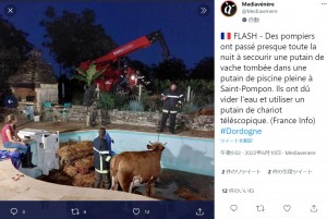 一晩かけて牛を救出した消防士たち（画像は『Mediavénère　2022年6月10日付Twitter「FLASH - Des pompiers ont passé presque toute la nuit à secourir une putain de vache tombée dans une putain de piscine pleine à Saint-Pompon.」』のスクリーンショット）
