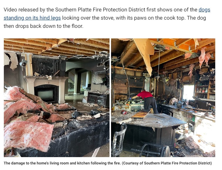 家が大火事に見舞われる（画像は『Fox News　2022年6月13日付「Missouri dog sets home on fire after turning on stove, video reveals」（Courtesy of Southern Platte Fire Protection District）』のスクリーンショット）