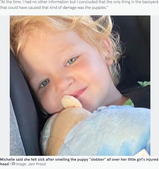 襲われる前の2歳女児（画像は『The Mirror　2022年6月15日付「Mum traumatised after vicious dog attack leaves daughter’s face unrecognisable」（Image: Jam Press）』のスクリーンショット）