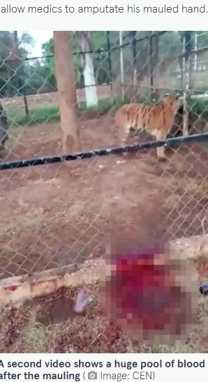 血だまりができた現場（画像は『The Mirror　2022年6月15日付「Private zoo keeper dies after hand mauled by TIGER he tried to pet at feeding time」（Image: CEN）』のスクリーンショット）
