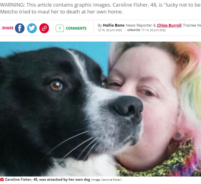 女性を襲ったカラカハン・ドッグ（画像は『Daily Record 　2022年6月20日付「Woman feared she’d die after her dog ‘tried to rip her apart’ when she got home from holiday」（Image: Caroline Fisher）』のスクリーンショット）