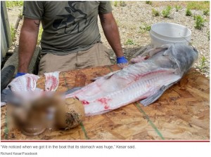 他にもナマズの胃からボールが…（画像は『New York post　2022年6月10日付「Shocked fisherman reels in wildest catch ever ― a fish that ate a sex toy」（Richard Kesar/Facebook）』のスクリーンショット）