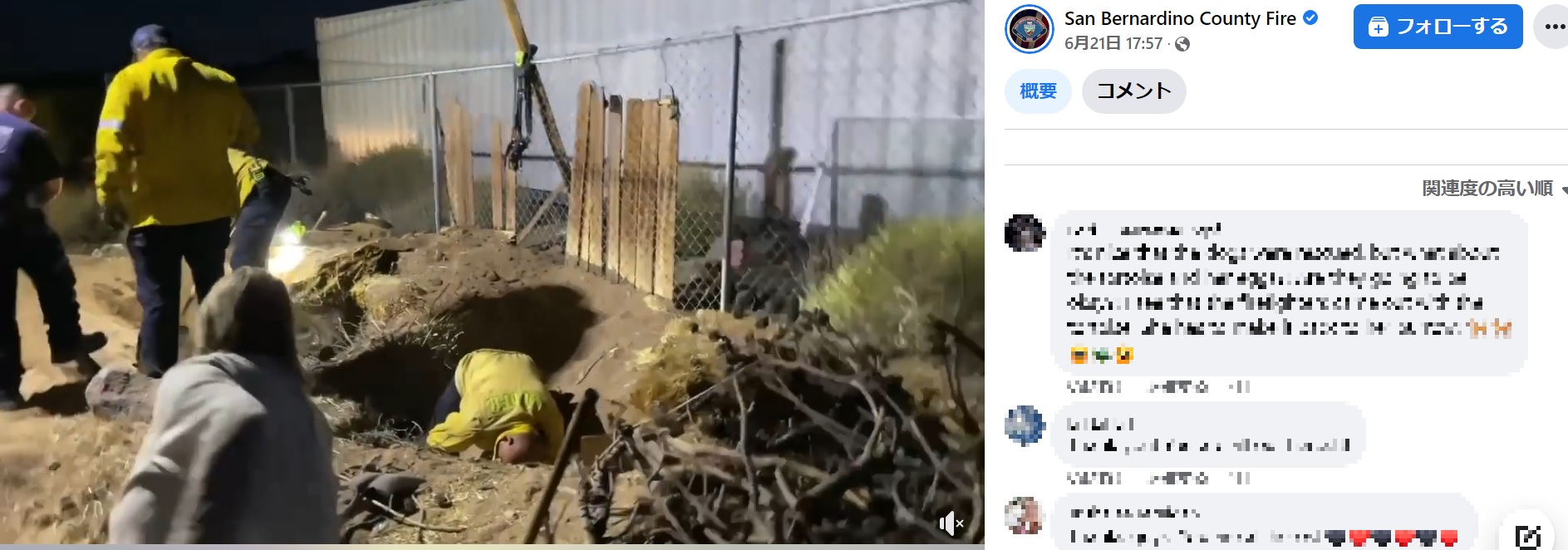 犬を救助するため巣穴を掘ることに（画像は『San Bernardino County Fire　2022年6月21日付Facebook「Puppies Rescued from Yucca Valley Tortoise Den」』のスクリーンショット）