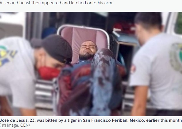 病院に搬送されたホセさん（画像は『The Mirror　2022年6月15日付「Private zoo keeper dies after hand mauled by TIGER he tried to pet at feeding time」（Image: CEN）』のスクリーンショット）