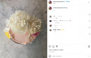 2枚目のピンクのケーキにも「リリベットちゃんのもの？」とファン憶測（画像は『Violet Cakes By Claire Ptak　2022年6月7日付Instagram「Frilly」』のスクリーンショット）