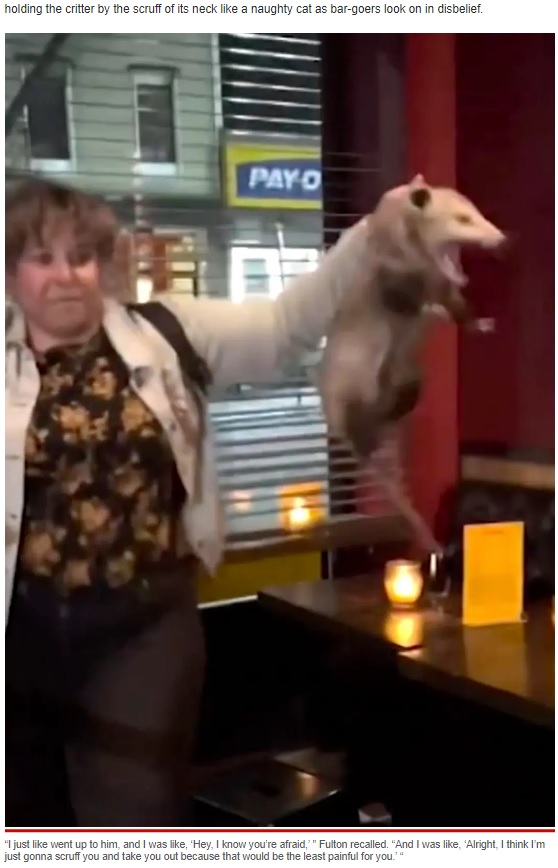 周囲の人が怖がる中でオポッサムに近づいていったサラさん（画像は『New York Post　2022年6月3日付「Opossum causes chaos in NYC bar ― until brave Alaska woman saves day」（Instagram / ＠sarakalee）』のスクリーンショット）