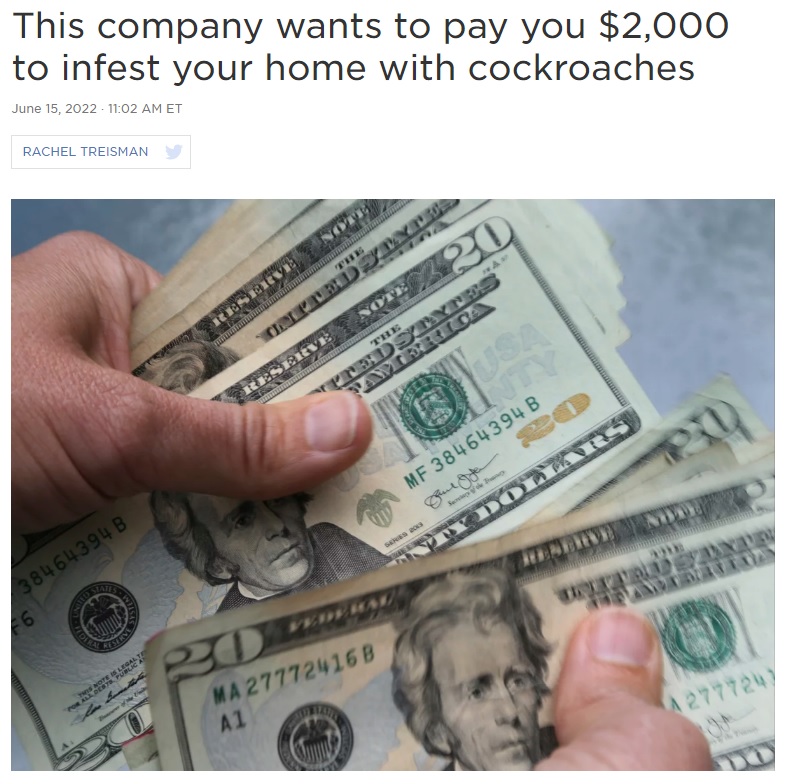 2000ドルの謝礼金を用意した害虫駆除業者（画像は『NPR　2022年6月15日付「This company wants to pay you ＄2,000 to infest your home with cockroaches」（Elise Amendola/AP）』のスクリーンショット）