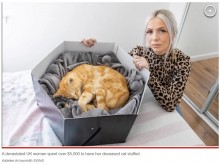 【海外発！Breaking News】亡き愛猫を67万円かけて剥製にした女性「これからも永遠に一緒」（スコットランド）