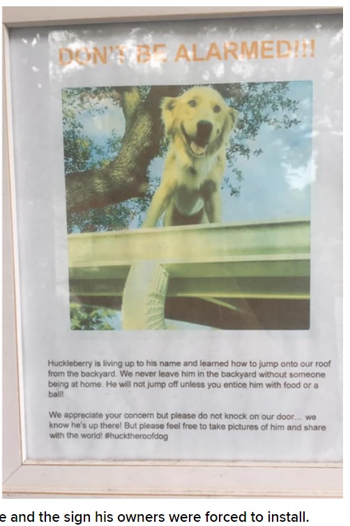 アリーさん宅に提示された張り紙（画像は『9Honey　2022年6月27日付「Family of famed ‘roof dog’ Huckleberry welcome adorable new addition」（Reddit）』のスクリーンショット）