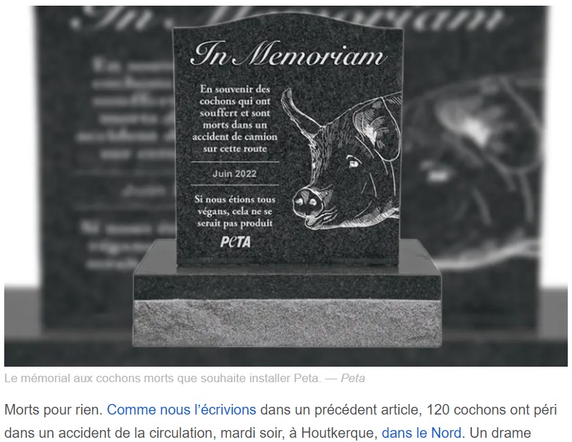 「PETA」が公表した記念碑のイメージ画像（画像は『20 Minutes　2022年6月23日付「Nord : Une association veut ériger un mémorial pour des cochons morts dans un accident」（Peta）』のスクリーンショット）