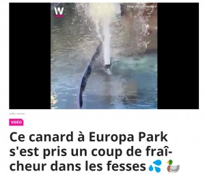 アトラクション施設内にある噴水に飛ばされたアヒル（画像は『watson　2022年7月7日付「Ce canard à Europa Park s’est pris un coup de fraîcheur dans les fesses」（Instagram: Valentin Liegard）』のスクリーンショット）