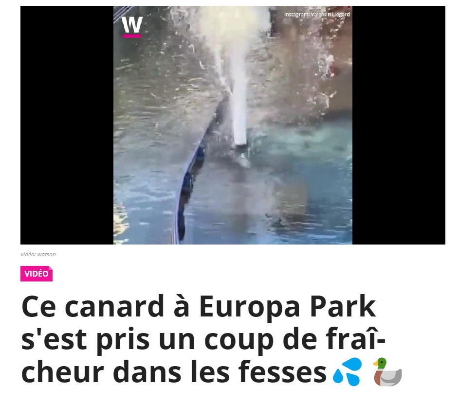 アトラクション施設内にある噴水に飛ばされたアヒル（画像は『watson　2022年7月7日付「Ce canard à Europa Park s’est pris un coup de fraîcheur dans les fesses」（Instagram: Valentin Liegard）』のスクリーンショット）