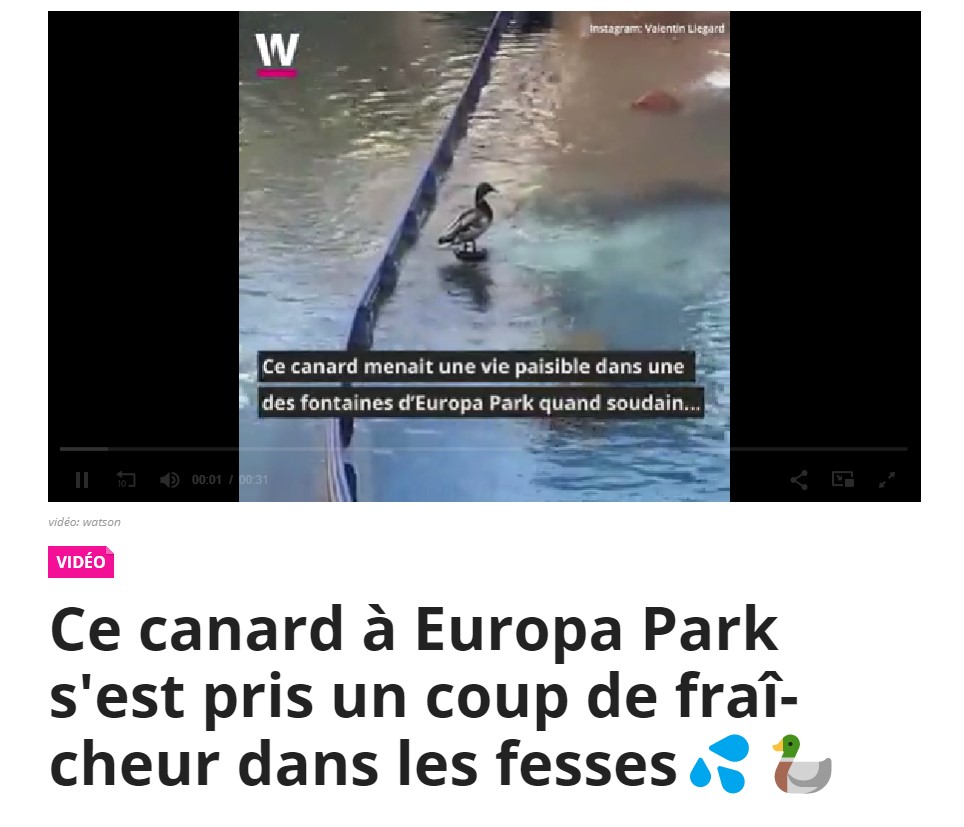 水上ジェットコースターのある水面に佇んでいたアヒル（画像は『watson　2022年7月7日付「Ce canard à Europa Park s’est pris un coup de fraîcheur dans les fesses」（Instagram: Valentin Liegard）』のスクリーンショット）