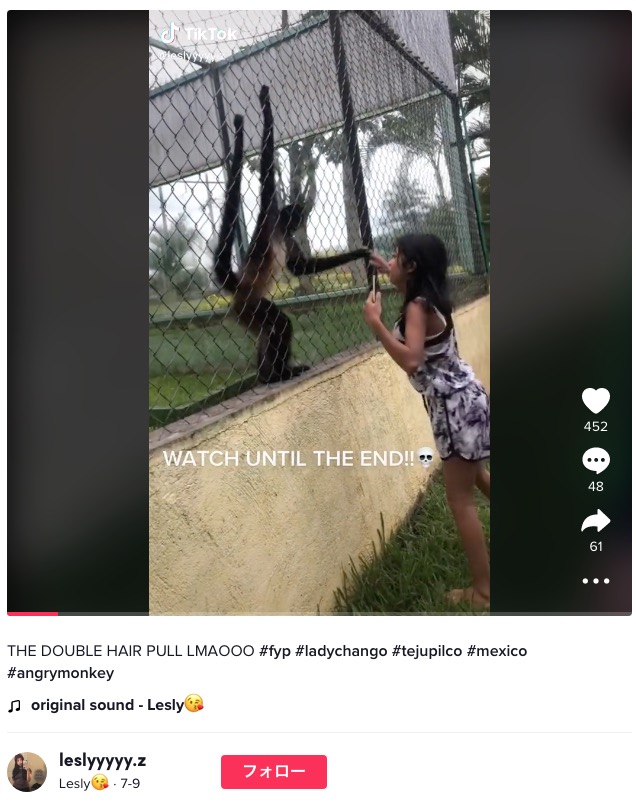 動物園のクモザルをからかう少女（画像は『Lesly　2022年7月9日付TikTok「THE DOUBLE HAIR PULL LMAOOO」』のスクリーンショット）