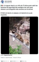 【海外発！Breaking News】動物園で柵を越えてヒョウの檻に近づいた14歳少年、足を引き裂かれそうに（メキシコ）＜動画あり＞