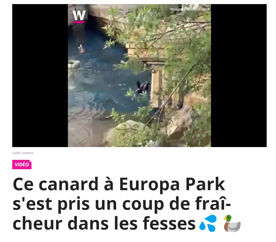 飛ばされた挙句、離れた水面に着水したアヒル（画像は『watson　2022年7月7日付「Ce canard à Europa Park s’est pris un coup de fraîcheur dans les fesses」（Instagram: Valentin Liegard）』のスクリーンショット）