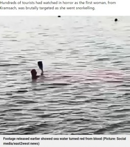 血に染まる海の中でフィンを付けた足を上げるエリザベスさん（画像は『Metro　2022年7月3日付「Shark killed second tourist 650ft from first fatal attack on pensioner」（Picture: Social media/east2west news）』のスクリーンショット）