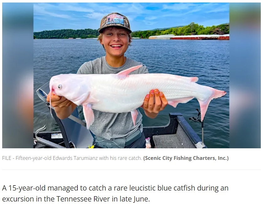 真っ白なナマズを釣り上げて大興奮の少年（画像は『FOX 35 Orlando　2022年7月11日付「‘Once-in-a-lifetime’ catch: Tennessee teen reels in rare white catfish」（Scenic City Fishing Charters, Inc.）』のスクリーンショット）
