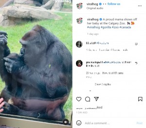エアーにキスするドシー（画像は『ViralHog　2022年7月29日付Instagram「A proud mama shows off her baby at the Calgary Zoo.」』のスクリーンショット）