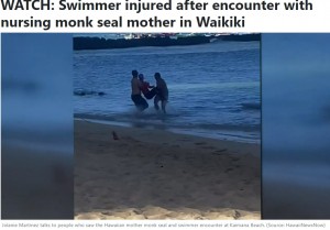 救助される女性（画像は『Hawaii News Now　2022年7月26日付「WATCH: Swimmer injured after encounter with nursing monk seal mother in Waikiki」（Source: HawaiiNewsNow）』のスクリーンショット）