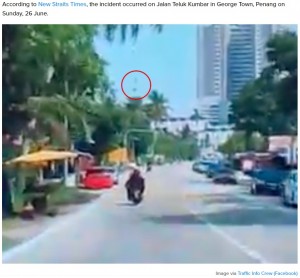 走行中のバイクにココナッツの実が落下　女性の頭に直撃した瞬間を後続車が捉える （マレーシア）＜動画あり＞