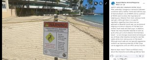 アザラシが子育て中であることを警告する看板（画像は『Hawaii Marine Animal Response　2022年7月26日付Facebook「SAFETY AROUND HAWAIIAN MONK SEALS」』のスクリーンショット）