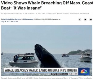 【海外発！Breaking News】クジラがボートに向かってジャンプ　巨体がぶつかり目撃者も「信じられない瞬間だった」（米）＜動画あり＞