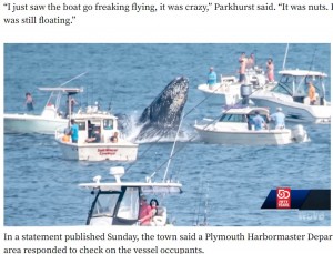 沖合に現れた1頭のクジラ（画像は『The Yucatan Times　2022年7月25日付「Whale lands on top of a boat in Massachusetts （Watch Video）」』のスクリーンショット）