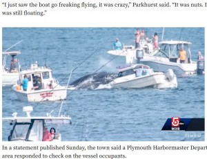 ボートに体当たりするようにしてのしかかるクジラ（画像は『The Yucatan Times　2022年7月25日付「Whale lands on top of a boat in Massachusetts （Watch Video）」』のスクリーンショット）