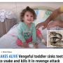 【海外発！Breaking News】復讐に燃える2歳女児、ヘビに咬まれるも反射的に噛み返して絶命させる（トルコ）