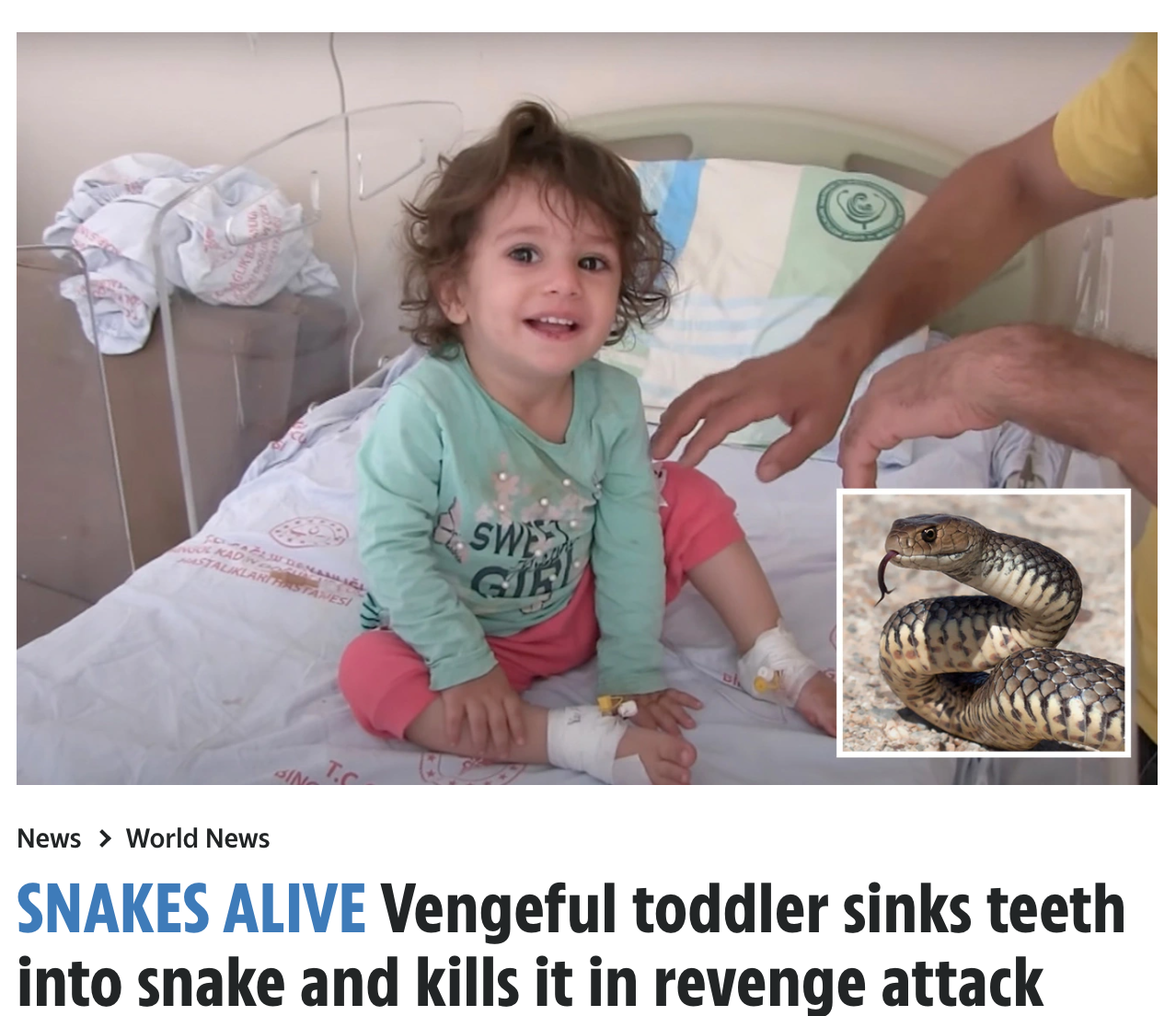 ヘビに噛み付いて絶命させた女児（画像は『The Sun　2022年8月13日付「SNAKES ALIVE Vengeful toddler sinks teeth into snake and kills it in revenge attack after animal bit her on the lip」（Credit: Newsflash）』のスクリーンショット）