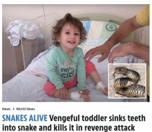 【海外発！Breaking News】復讐に燃える2歳女児、ヘビに咬まれるも反射的に噛み返して絶命させる（トルコ）