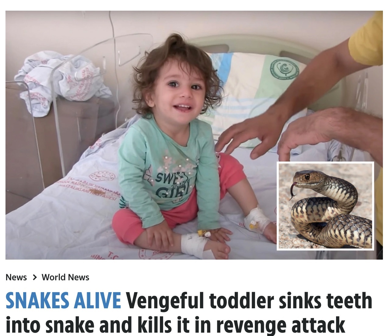 トルコで2022年8月、2歳女児がヘビに嚙まれて病院に搬送された。だが女児は、噛まれた仕返しにヘビに噛みついて絶命させていた（画像は『The Sun　2022年8月13日付「SNAKES ALIVE Vengeful toddler sinks teeth into snake and kills it in revenge attack after animal bit her on the lip」（Credit: Newsflash）』のスクリーンショット）